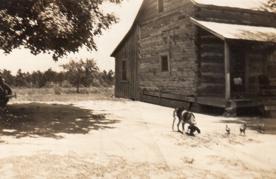 Black and white log cabin with dog and chickens in the yard